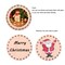20 Pieces 2.16 inches Natural Wood Slices Craft Unfinished Wood kit Predrilled with Hole Wooden Circles for DIY Crafts Wedding Decorations Christmas Ornaments Arts Wood Slices